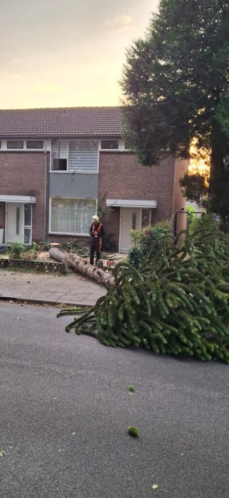 over ons den haan tuinen