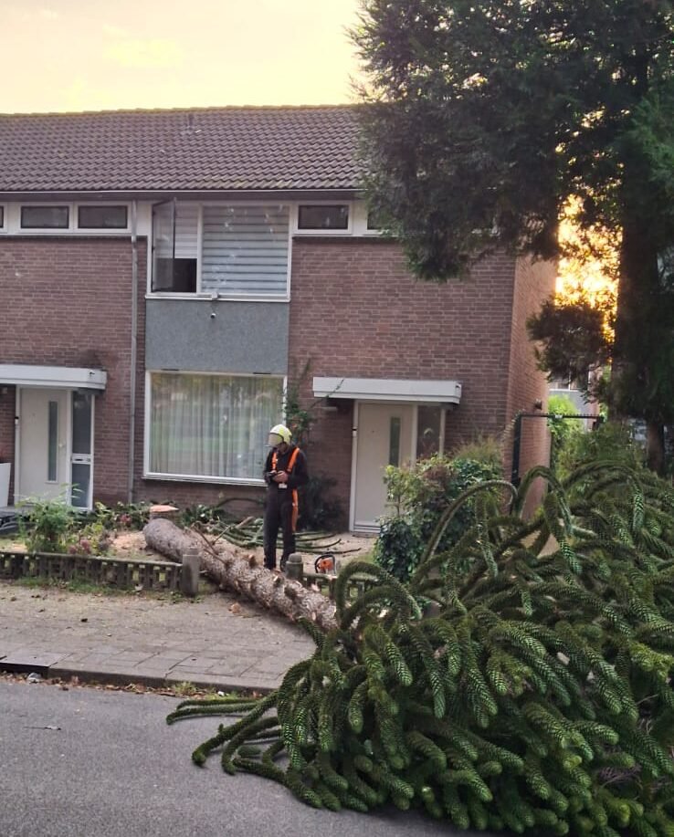 over ons den haan tuinen